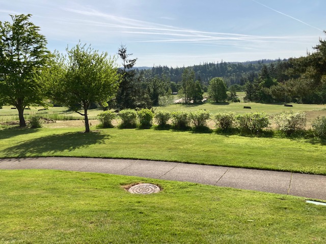 Somerset Lodge community photo